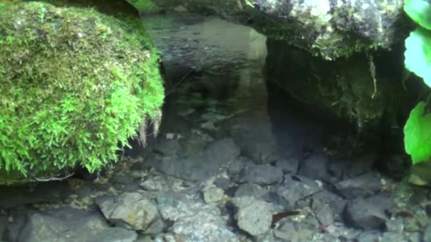 飲料水は洞窟から出て橋の下を通ります — ストック動画