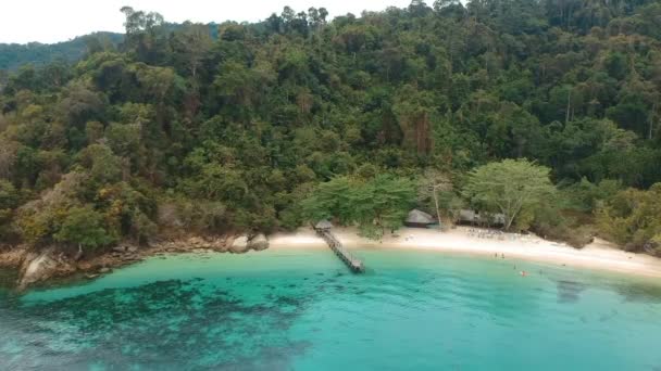Drone Aereo Una Spiaggia Isolata Margini Della Foresta Pluviale Del — Video Stock