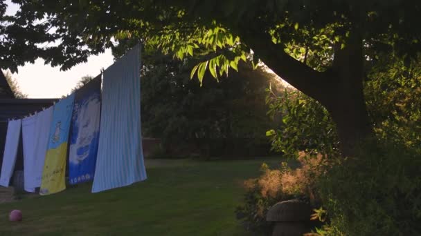 Gün Batımında Havlularla Çamaşır Ipi Çalılıklara Yapraklara Mayıs Sineklerine Doğru — Stok video