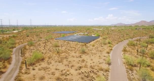 Avanzamento Aereo Una Serie Pannelli Solari Nel Deserto Sonoro Vicino — Video Stock