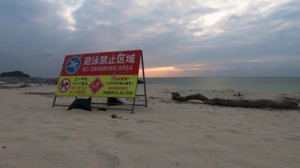 일본의 해변에서는 금지되고 허용되지 해파리가 서식하고 라포스 — 비디오