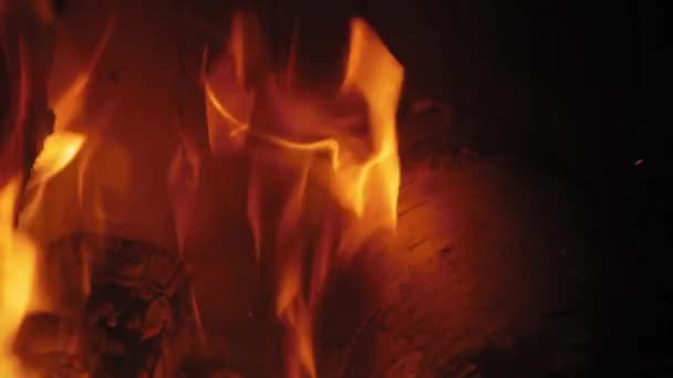 Hořící Plamen Krbu Dřevěných Kládách Zblízka Snímek Yule Log Hořící — Stock video