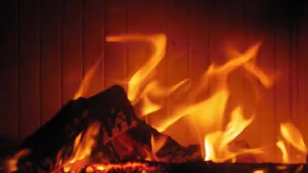 Inggris Burning Flame Fireplace Wood Log Tembakan Menengah Dari Kayu — Stok Video