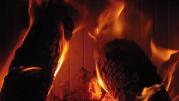 Brennende Flamme Kamin Auf Holzstämmen Mittlere Aufnahme Eines Einem Kamin — Stockvideo