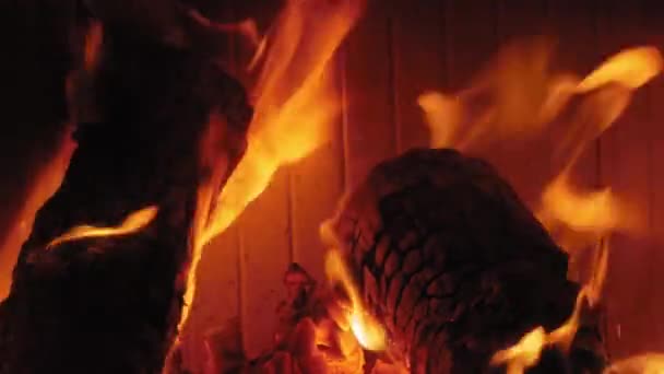 Φλόγα Στο Τζάκι Ξύλινα Κούτσουρα Μέση Βολή Ενός Κορμού Yule — Αρχείο Βίντεο