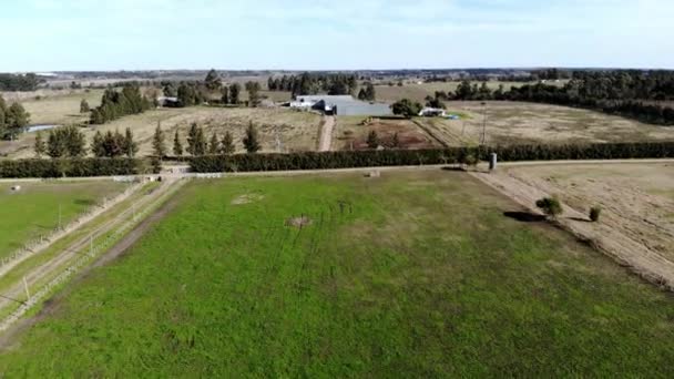 Imágenes Aéreas Una Casa Campo Campo Plantaciones Árboles Día Claro — Vídeo de stock