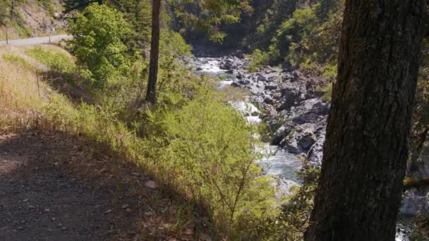 Río Smith Arroyo Montaña Autopista 199 — Vídeo de stock