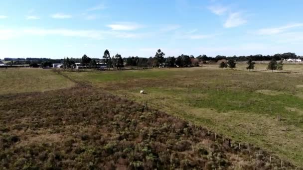 Vista Aerea Del Campo Una Giornata Sole Situato Canelones Uruguay — Video Stock
