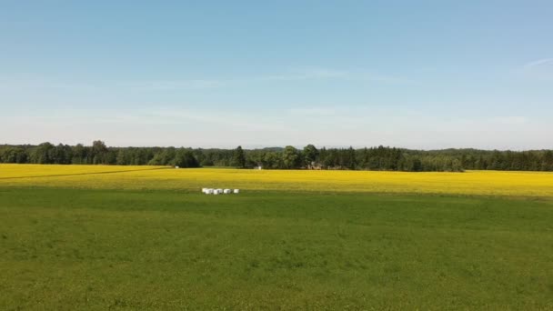 Tiro Aéreo Lateral Perto Chão Sobre Campo Verde Amarelo Com — Vídeo de Stock