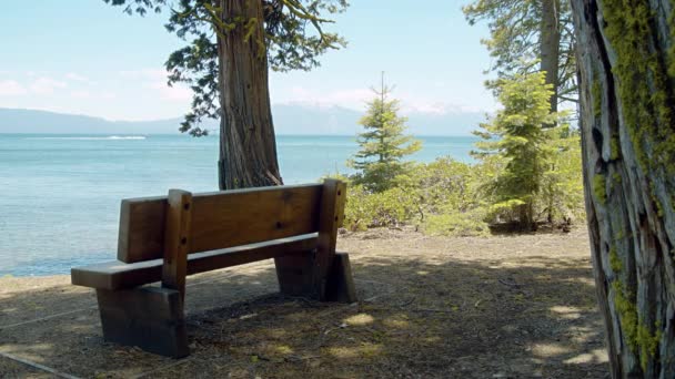 Προσκαλώντας Παγκάκι Στην Ακτή Της Λίμνης Tahoe Στο Sugar Pine — Αρχείο Βίντεο
