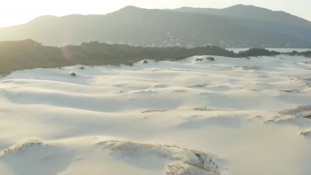 Krásné Písečné Duny Západu Slunce Deštné Pralesy Praia Joaquina Florianopolis — Stock video