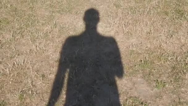 Shadow Human Walking Slow Motion Dry Grass Dryness Summer Europe — Stock Video