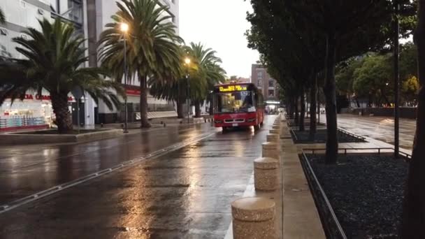 Transporte Urbano Cidade México — Vídeo de Stock