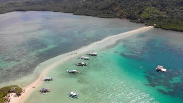 フィリピンのパラワン州エルニド島スネーク島の熱帯海岸の前方移動撮影 空中射撃 — ストック動画