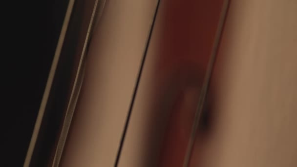Macro Close Cello Violonchelo Bow Violonchelo Playing Strings Music Video — Vídeo de stock