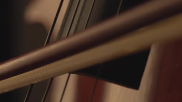 Macro Close Violoncelo Arco Violoncelo Tocar Violoncelo Cordas — Vídeo de Stock