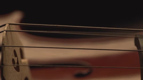 Макрокрупный План Виолончели Виолончельного Банта Пульсирования Виолончели Струн Музыкального Видео — стоковое видео
