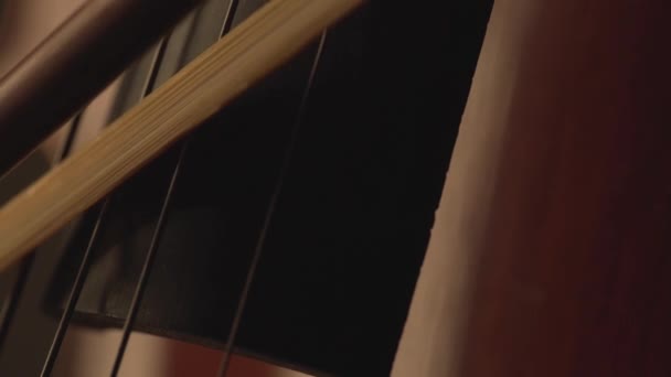 チェロ チェロの弓 チェロの演奏と弦を閉じるマクロ — ストック動画