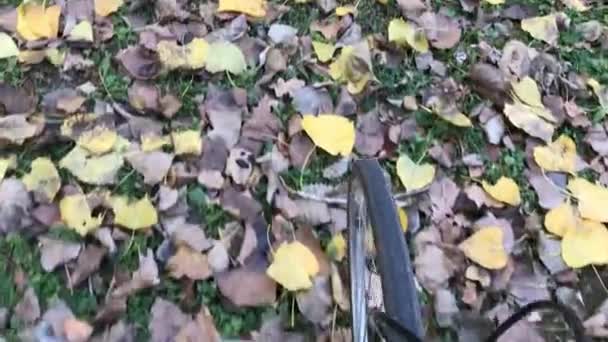 Rolling Bike Wheel Leaves Covered Ground Park — Stock Video