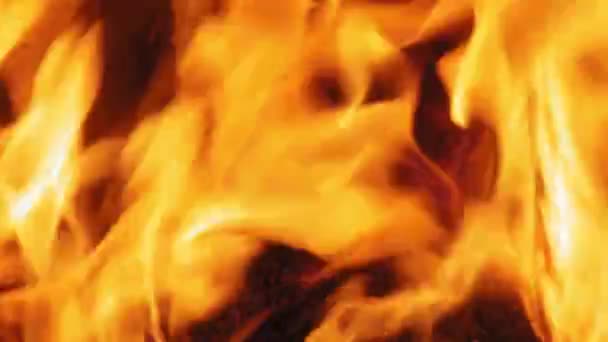 Gros Plan Flamme Brûlante Foyer Sur Des Billes Bois Plan — Video
