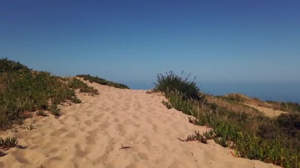 Caminho Areia Para Praia Tiro Penhasco Rodeado Vegetação — Vídeo de Stock