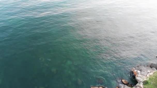 Vzdušný Výstřel Moře Kopec — Stock video