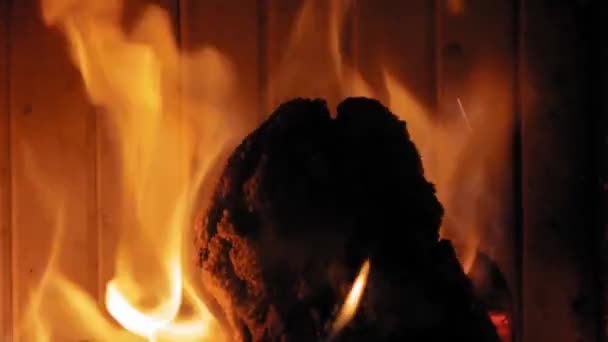 Hořící Plamen Krbu Dřevěných Kládách Střední Záběr Yule Polena Hořícího — Stock video
