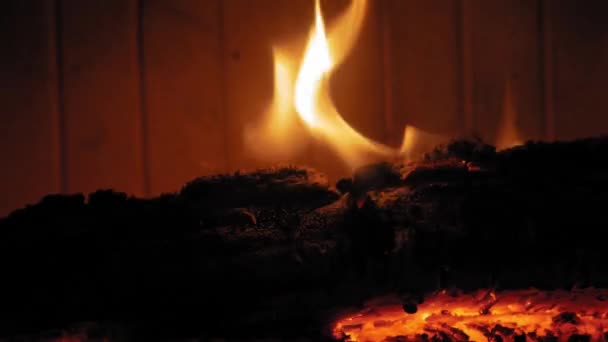 Incendio Fiamma Camino Tronchi Legno Colpo Medio Ceppo Yule Che — Video Stock