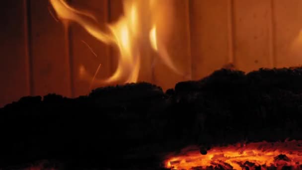 Спалювання Полум Каміні Дерев Яних Колодах Середній Постріл Чагарника Горить — стокове відео