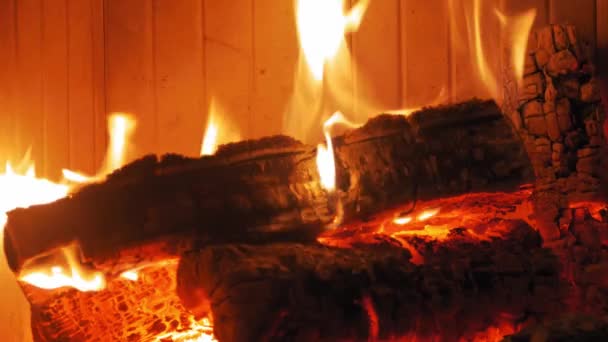 Inggris Burning Flame Fireplace Wood Log Tembakan Menengah Dari Kayu — Stok Video