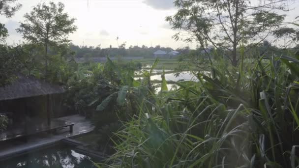 Endonezya Bali Bir Pencereden Dışarı Bakıyorum — Stok video