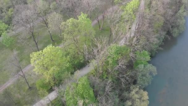 Biken Gefilmt Von Oben Mit Einer Drohne Englischen Garten München — Stockvideo