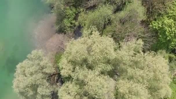德国慕尼黑Feringasee湖 一架4K 30Fps无人驾驶飞机 — 图库视频影像