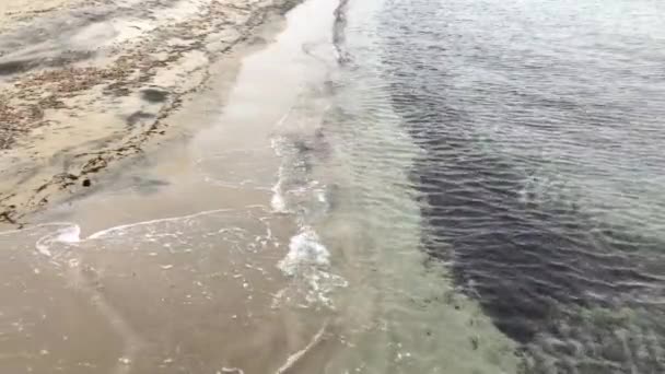 Praia San Cataldo Perto Lecce Itália Season Quando Ninguém Está — Vídeo de Stock