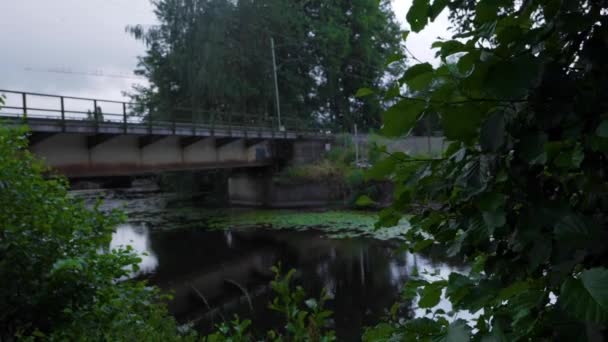 Підозрюваний Стрілець Листя Фокусі Мостом Поїзда Деревами Вісканською Вулицею Задньому — стокове відео