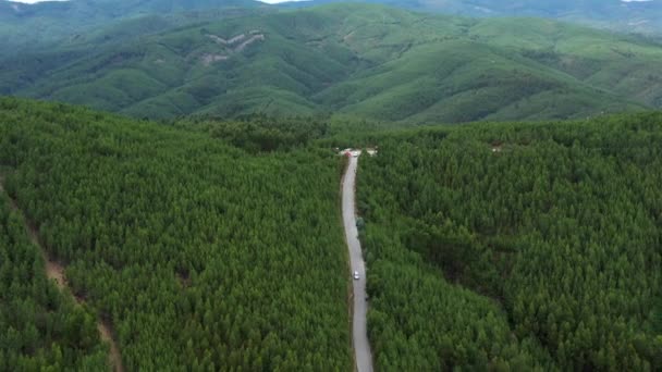 灰色の車の上の山の真ん中で撮影した 松に囲まれた道 — ストック動画