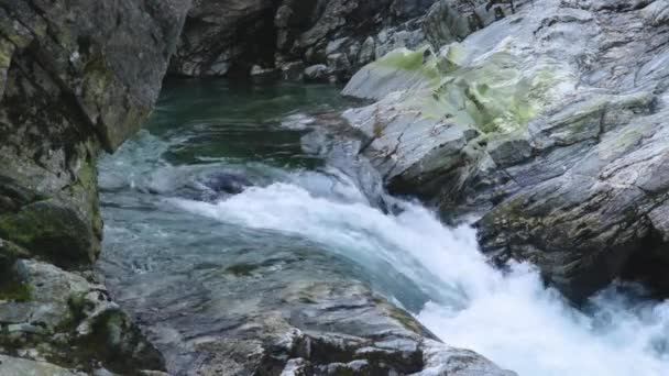 Natuur Shot Van Een Rivier — Stockvideo