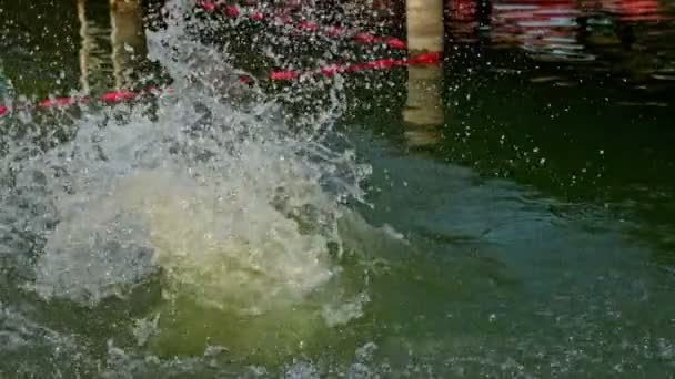 Kobieta Skacząca Jeziora Wielkim Pluskiem Klip Zwolnionym Tempie — Wideo stockowe