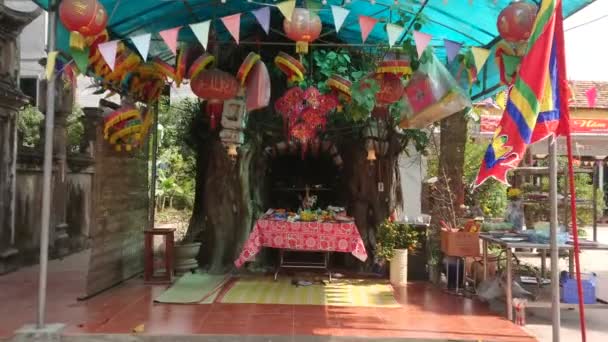 Маленький Храм Внутри Дерева Вьетнаме Медленно Приближается Наклоняется Вверх — стоковое видео
