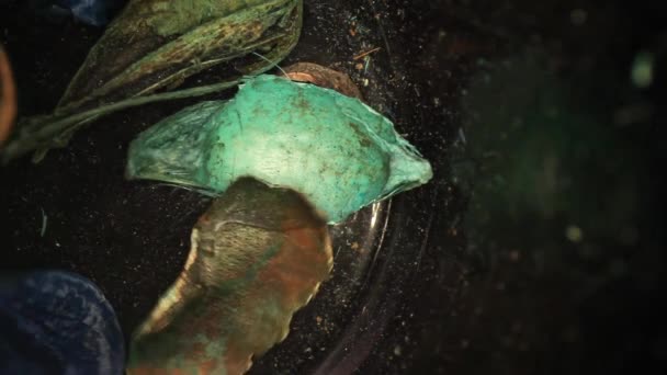 Geniş Açı Mercek Kullanarak Kademeli Potpuri Ile Dolu Boş Bir — Stok video