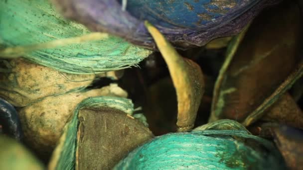 Yüzeysel Odaklı Renkli Potpuri Parçalarından Oluşan Bir Vazoya Girip Çıkmak — Stok video