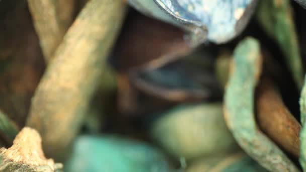 Vazodan Çıkan Renkli Potpuri Parçalarının Kenarlarına Odaklanın Merkezde Renkli Soyut — Stok video