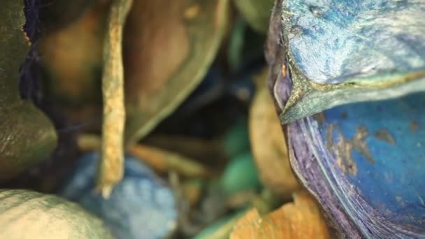 Yavaş Yavaş Renkli Potpuri Parçalarına Doğru Hareket Ediyor Kısa Yolculuk — Stok video