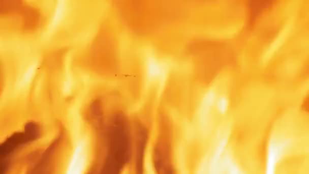 Brennender Baumstamm Geht Kamin Flammen Auf Mittlere Aufnahme Eines Einem — Stockvideo