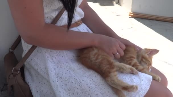 Kvinna Vit Klänning Petting Orange Kattunge Knä Sitter Stenvägg — Stockvideo