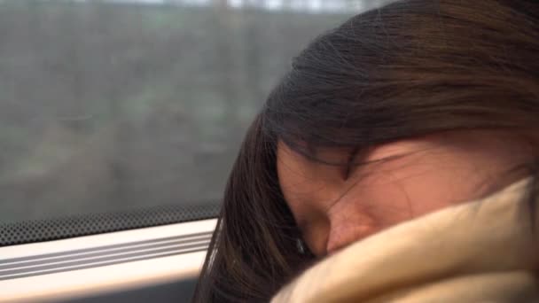 Japonesa Chica Bufanda Durmiendo Contra Ventana Tren Con Paisaje Pasando — Vídeos de Stock