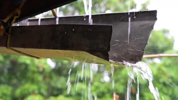 Srážky Tekoucí Korytě Období Dešťů — Stock video