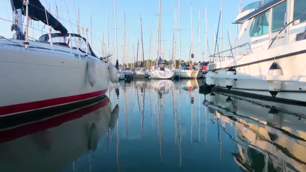 Veleros Aparcando Agua Puerto Con Reflejos Verano Suecia — Vídeos de Stock