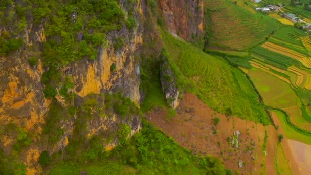 Lenta Inclinazione Fino Rivelando Splendida Lussureggiante Terreno Agricolo Nel Dong — Video Stock