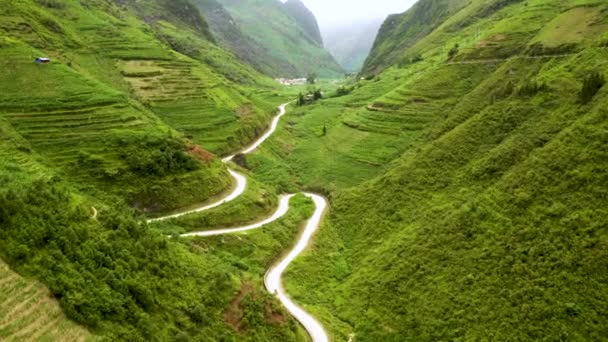 Перевале Ленг Севере Вьетнама Дорога Превратилась Пышный Пышный Зеленый Валун — стоковое видео